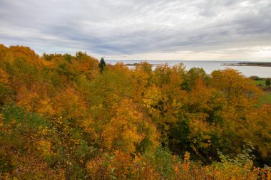 Michigan Gölü manzarası
