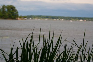 Ludington Eyalet Parkı, Michigan