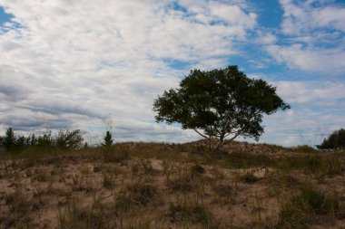 Ludington Eyalet Parkı, Michigan