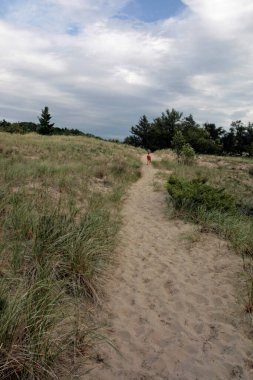 Ludington Eyalet Parkı, Michigan
