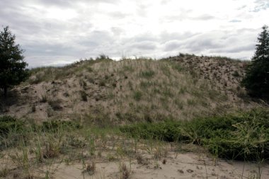 Ludington Eyalet Parkı, Michigan