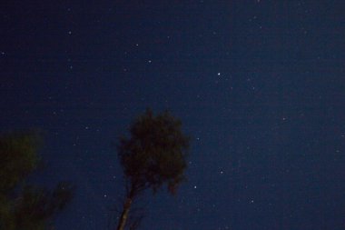 Michigan 'da Yıldızlı Gece Gökyüzü