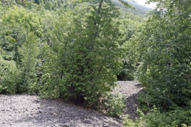 Artık kullanılmayan eski bir maden.