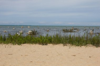 Eski Misyon Deniz Feneri Parkı, Michigan