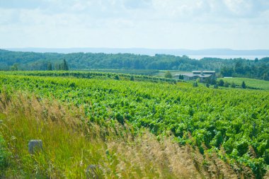 Eski Misyon Deniz Feneri Parkı, Michigan