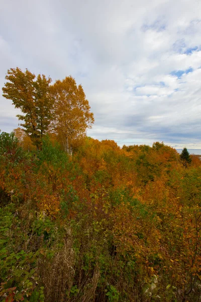 Utsikt Över Sjön Michigan — Stockfoto