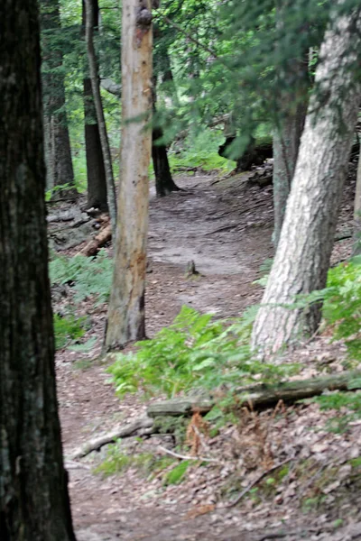 Vistas Ludington State Park Michigan — Fotografia de Stock