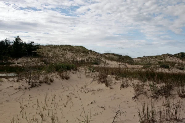 Vistas Ludington State Park Michigan — Fotografia de Stock