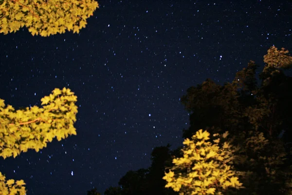 Cielo Nocturno Estrellado Michigan — Foto de Stock