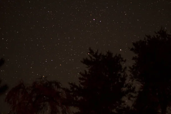 Starry Night Skies Michigan — Stock Photo, Image