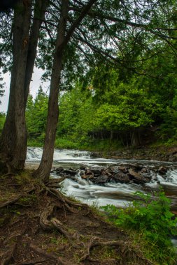 Michigan 'ın Aşağı Yarımadasında Oquecoc Şelalesi
