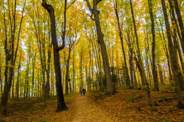 Resimli Kayalar Ulusal Lakeshore, Michigan