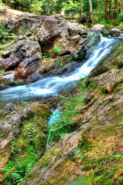 Parque Estadual Das Montanhas Porcupine Michigan — Fotografia de Stock