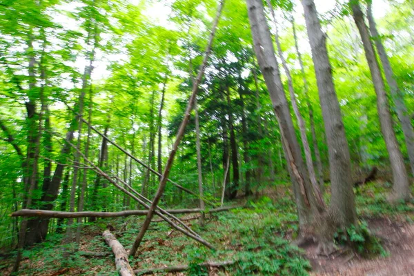 Pyramid Point Trail Sleeping Bear Dunes National Lakeshore Michigan — Foto de Stock