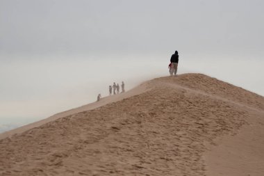 Silver Lake State Parkı, Michigan