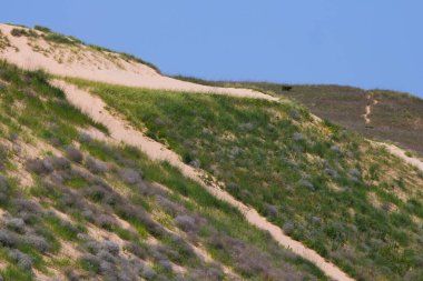 Uyuyan Ayı Kumulları Ulusal Lakeshore, Michigan