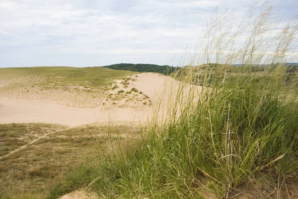 Dunas Urso Adormecido National Lakeshore Michigan — Fotografia de Stock