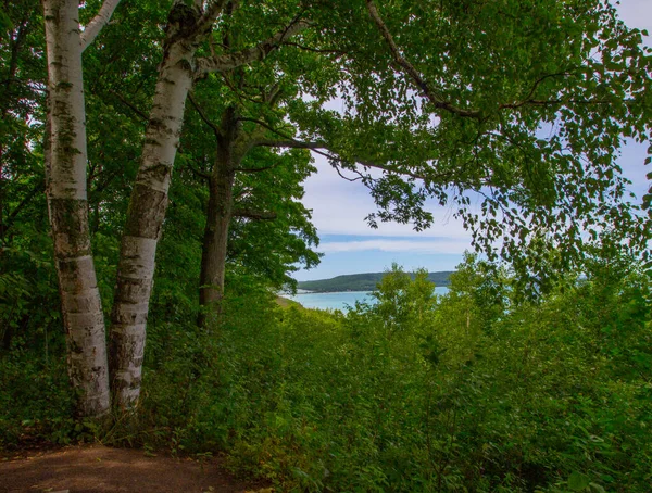 Dunas Urso Adormecido National Lakeshore Michigan — Fotografia de Stock