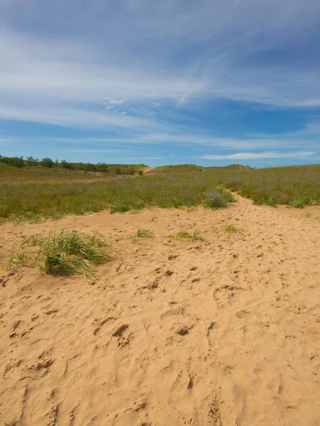 Dunas Urso Adormecido National Lakeshore Michigan — Fotografia de Stock