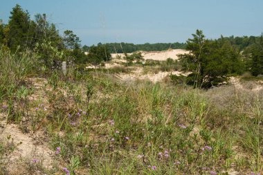 Uyuyan Ayı Kumulları Ulusal Lakeshore, Michigan