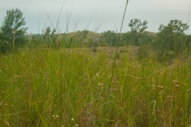 Uyuyan Ayı Kumulları Ulusal Lakeshore, Michigan