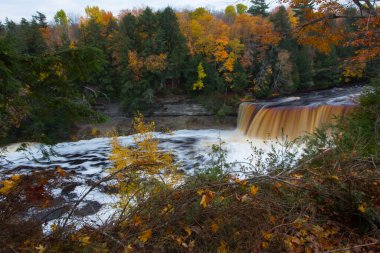 Tahquamenon Falls Eyalet Parkı, Michigan