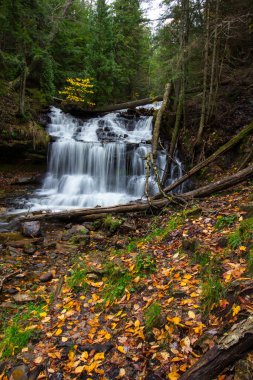 Wagner Falls Eyalet Sahnesi, Michigan