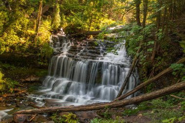 Wagner Falls Eyalet Sahnesi, Michigan
