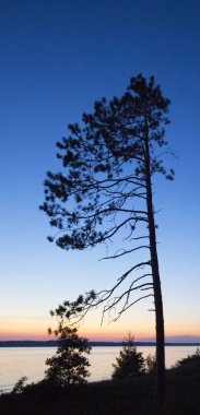 Sayler Şehir Parkı, Yuba, Michigan