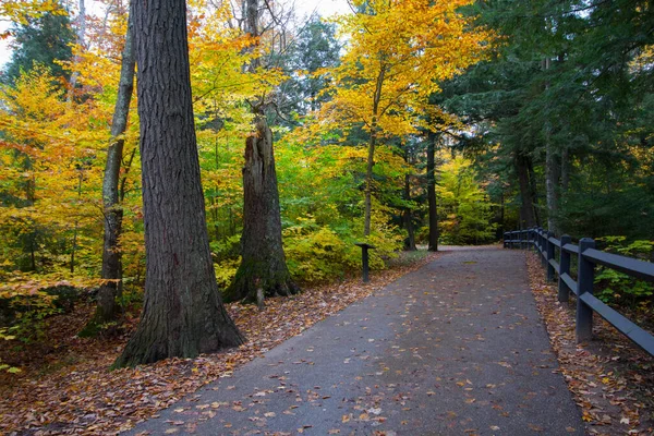 Tahquamenon Falls State Park Michigan — Stockfoto