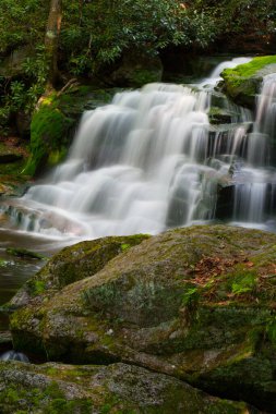 Elakala Şelalesi # 2, Batı Virginia