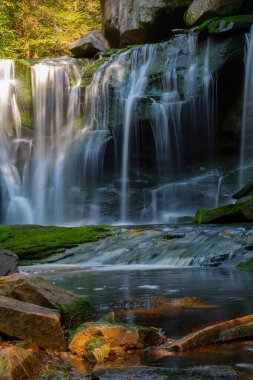 Elakala Şelalesi, Blackwater Falls Eyalet Parkı, Batı Virginia