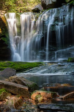 Elakala Şelalesi, Blackwater Falls Eyalet Parkı, Batı Virginia