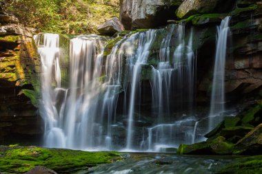 Elakala Şelalesi, Blackwater Falls Eyalet Parkı, Batı Virginia