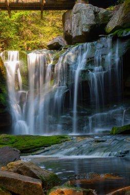 Elakala Şelalesi, Blackwater Falls Eyalet Parkı, Batı Virginia