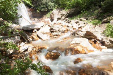 Douglas Falls, Batı Virginia