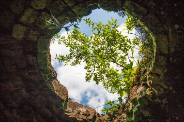 Old Cola Fırınları, Batı Virginia