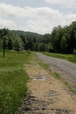 Blackwater Demiryolu Yolu, Batı Virginia