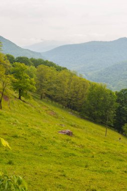 Batı Virginia Manzaraları 'nın Çeşitli Görüntüleri