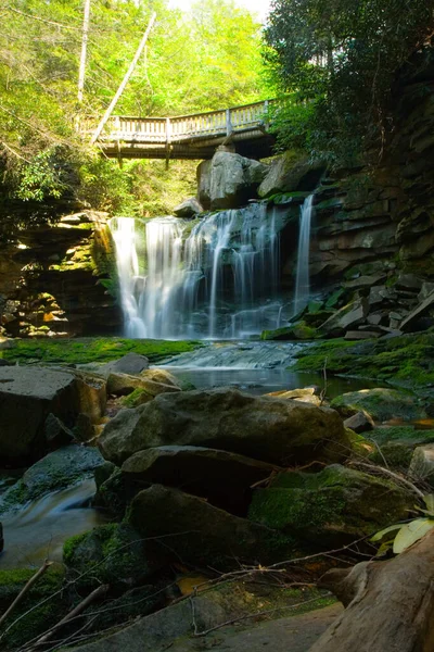 Elakala Şelalesi Blackwater Falls Eyalet Parkı Batı Virginia — Stok fotoğraf