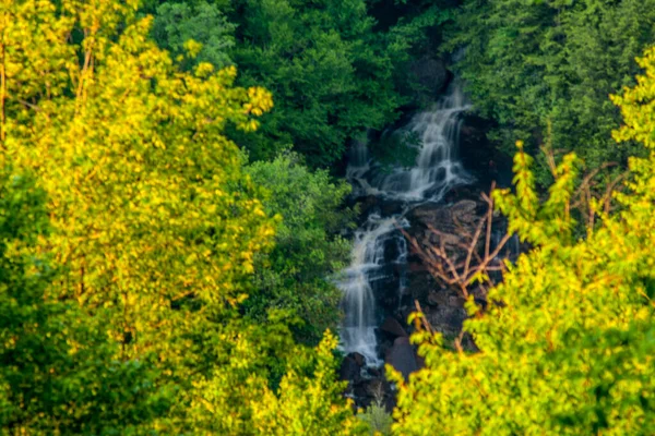 Die Wasserfälle Des Pendelton Blackwater Falls State Park West Virginia — Stockfoto