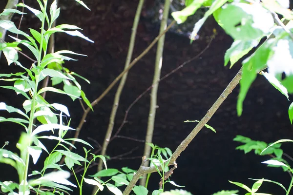 Old Coke Ovens Δυτική Βιρτζίνια — Φωτογραφία Αρχείου