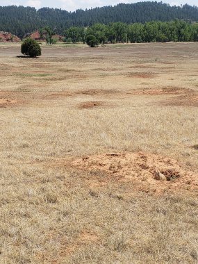 Çayır Köpeği Kasabası, Şeytanın Kulesi Ulusal Anıtı, Wyoming