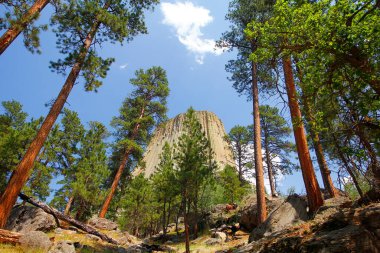 Şeytan Kulesi Ulusal Anıtı, wyoming