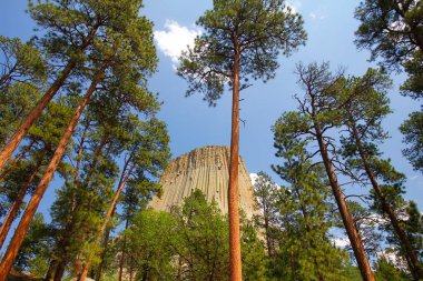 Şeytan Kulesi Ulusal Anıtı, wyoming