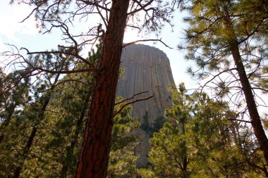 Şeytan Kulesi Ulusal Anıtı, wyoming