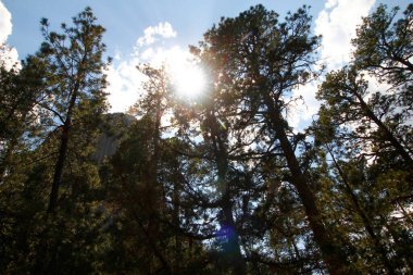 Şeytan Kulesi Ulusal Anıtı, wyoming