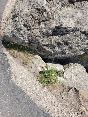 Şeytan Kulesi Ulusal Anıtı, wyoming