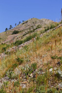Bear Butte Eyalet Parkı, Güney Dakota