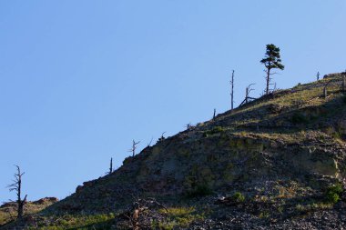 Bear Butte Eyalet Parkı, Güney Dakota